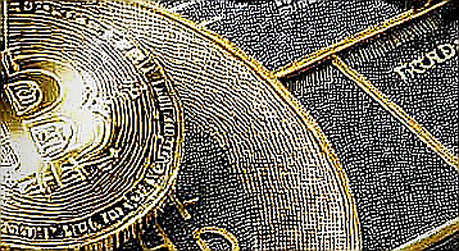 August 5's Information Vacuum: Four Tokens, Zero Fundamentals, and the Sound of a Market Holding Its Breath August 5's Information Vacuum: Four Tokens, Zero Fundamentals, and the Sound of a Market Holding Its Breath