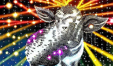 The 80 Billion Dollar Question: Zhongji Innolight’s IPO Hides a Silicon Trap The 80 Billion Dollar Question: Zhongji Innolight’s IPO Hides a Silicon Trap