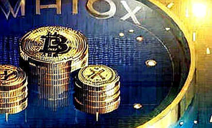 The August 22 Settlement Signal: Chain Activity Points to Positioning, Not Panic