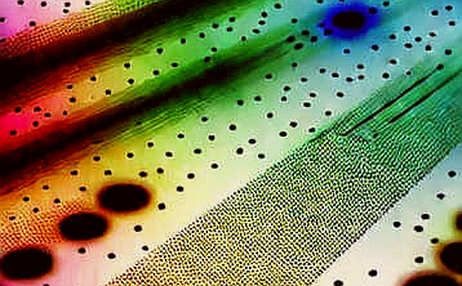 The Silicon Scaffold: Nvidia and MediaTek's Structural Pivot