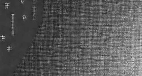 Situational Blindness: The 67% Collapse of an AI Prophet's Hedge Fund and the Architecture of Intellectual Arrogance
