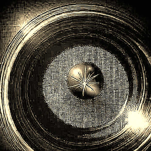 Two Wallets, 8,552 Tokens, $600K: LAPTOP's Airdrop Just Stress-Tested Its Own Liquidity
